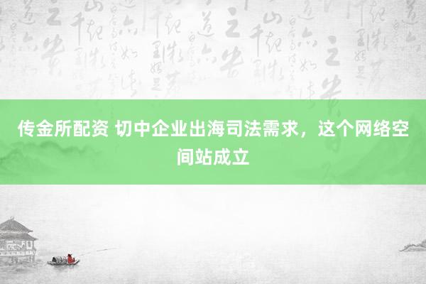 传金所配资 切中企业出海司法需求，这个网络空间站成立