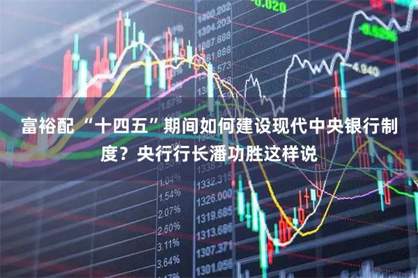 富裕配 “十四五”期间如何建设现代中央银行制度？央行行长潘功胜这样说