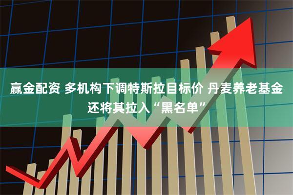 赢金配资 多机构下调特斯拉目标价 丹麦养老基金还将其拉入“黑名单”