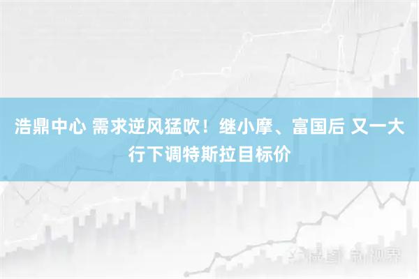 浩鼎中心 需求逆风猛吹！继小摩、富国后 又一大行下调特斯拉目标价