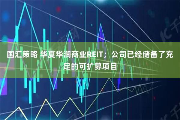 国汇策略 华夏华润商业REIT；公司已经储备了充足的可扩募项目