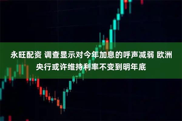 永旺配资 调查显示对今年加息的呼声减弱 欧洲央行或许维持利率不变到明年底